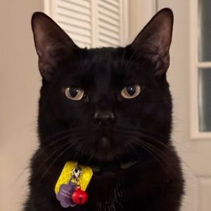 Meet your Posher, Chris